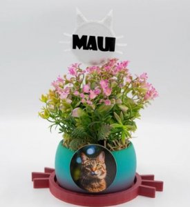 maceta gato en 3D personalizado foto eibar